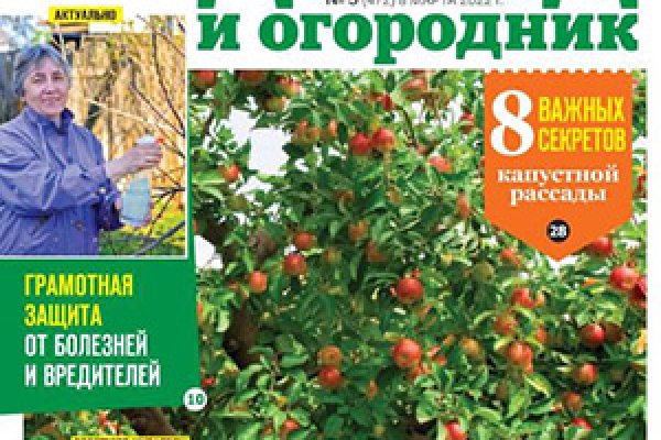 Зайти на сайт кракен
