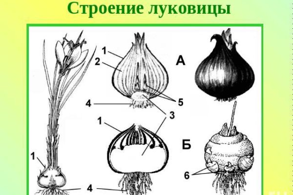 Как восстановить аккаунт в кракен
